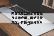 网站流量监控的重要性及实际应用,网站流量监控,价值与实用应用