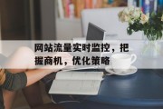 网站流量实时监控,把握商机,优化策略 网站流量实时监控,把握商机,优化策略