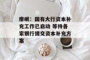 廖岷:国有大行资本补充工作已启动 等待各家银行提交资本补充方案 廖岷:国有大行资本补充工作已启动 等待各家银行提交资本补充方案