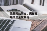 流量网站简介,揭秘互联网流量聚集地 流量网站简介,揭秘互联网流量聚集地