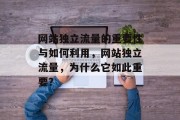 网站独立流量的重要性与如何利用,网站独立流量,为什么它如此重要? 网站独立流量的重要性与如何利用,网站独立流量,为什么它如此重要?