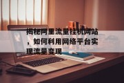 揭秘阿里流量挂机网站,如何利用网络平台实现流量变现 揭秘阿里流量挂机网站,如何利用网络平台实现流量变现