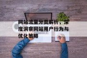 网站流量分类解析，深度洞察网站用户行为与优化策略