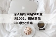 深入解析网站SEO查询1002,揭秘高效SEO优化策略 深入解析网站SEO查询1002,揭秘高效SEO优化策略