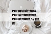 PHP网站插件编程，PHP插件编程教程，PHP插件编程入门教程