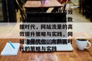 大数据时代,如何高效提升网站流量?,大数据时代,网站流量的高效提升策略与实践,网站流量优化,大数据时代的策略与实践 大数据时代,如何高效提升网站流量?,大数据时代,网站流量的高效提升策略与实践,网站流量优化,大数据时代的策略与实践