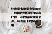 纯流量卡流量查询网站,如何找到你的目标客户群,寻找精准流量来源,纯流量卡的实战攻略 纯流量卡流量查询网站,如何找到你的目标客户群,寻找精准流量来源,纯流量卡的实战攻略