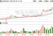 赣锋锂业子公司拟引入投资人 增资不超25亿元 赣锋锂业子公司拟引入投资人 增资不超25亿元