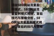 揭秘SEO网站流量盈利模式,SEO网站流量盈利模式揭秘,背后技巧与策略分析,SEO网站流量盈利模式揭秘,背后的技巧与策略分析 揭秘SEO网站流量盈利模式,SEO网站流量盈利模式揭秘,背后技巧与策略分析,SEO网站流量盈利模式揭秘,背后的技巧与策略分析