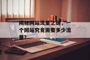 揭秘网站流量之谜,一个网站究竟需要多少流量? 揭秘网站流量之谜,一个网站究竟需要多少流量?