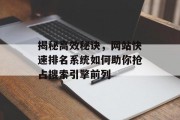 揭秘高效秘诀，网站快速排名系统如何助你抢占搜索引擎前列