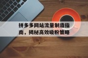 拼多多网站流量制造指南,揭秘高效吸粉策略 拼多多网站流量制造指南,揭秘高效吸粉策略