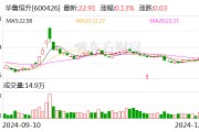 华鲁恒升:尼龙66高端新材料项目己二酸装置投产 华鲁恒升:尼龙66高端新材料项目己二酸装置投产