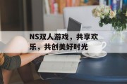 NS双人游戏，共享欢乐，共创美好时光