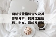 网站流量指标含义及其影响分析,网站流量指标,定义、影响及理解 网站流量指标含义及其影响分析,网站流量指标,定义、影响及理解