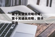 第十关通关攻略攻略,第十关通关攻略,新手指南 第十关通关攻略攻略,第十关通关攻略,新手指南