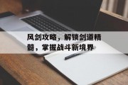 风剑攻略，解锁剑道精髓，掌握战斗新境界