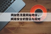 揭秘色流量网站地址,网络安全的警示与应对 揭秘色流量网站地址,网络安全的警示与应对