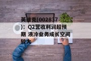 英维克(002837)：Q2营收利润超预期 液冷业务成长空间较大