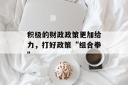 积极的财政政策更加给力,打好政策“组合拳” 积极的财政政策更加给力,打好政策“组合拳”