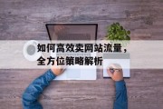 如何高效卖网站流量,全方位策略解析 如何高效卖网站流量,全方位策略解析