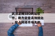 武汉正规SEO网站软件,助力企业高效优化,抢占网络市场先机 武汉正规SEO网站软件,助力企业高效优化,抢占网络市场先机