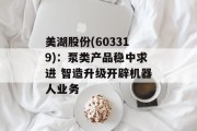 美湖股份(603319)：泵类产品稳中求进 智造升级开辟机器人业务