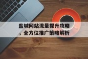 盐城网站流量提升攻略,全方位推广策略解析 盐城网站流量提升攻略,全方位推广策略解析