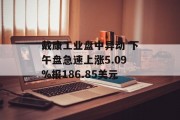 戴康工业盘中异动 下午盘急速上涨5.09%报186.85美元 戴康工业盘中异动 下午盘急速上涨5.09%报186.85美元