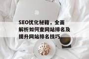 SEO优化秘籍，全面解析如何查网站排名及提升网站排名技巧
