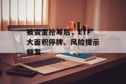 被资金抢筹后,ETF大面积停牌、风险提示频发 被资金抢筹后,ETF大面积停牌、风险提示频发