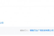 新华保险持续接盘王健林名下资产 已收购11家万达广场 新华保险持续接盘王健林名下资产 已收购11家万达广场