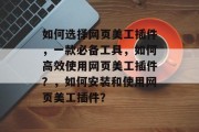 如何选择网页美工插件,一款必备工具,如何高效使用网页美工插件?,如何安装和使用网页美工插件? 如何选择网页美工插件,一款必备工具,如何高效使用网页美工插件?,如何安装和使用网页美工插件?
