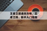 王者之道通关攻略,王者之路,新手入门指南 王者之道通关攻略,王者之路,新手入门指南