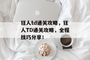 狂人td通关攻略，狂人TD通关攻略，全程技巧分享！