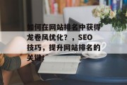 如何在网站排名中获得龙卷风优化?,SEO技巧,提升网站排名的关键! 如何在网站排名中获得龙卷风优化?,SEO技巧,提升网站排名的关键!