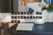 网站龙卷风优化,揭秘搜索引擎排名飙升的秘密武器 网站龙卷风优化,揭秘搜索引擎排名飙升的秘密武器