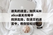 迷失的迷宫,如何从Malice通关攻略中找到出路,在迷茫的迷宫中,教你轻松过关! 迷失的迷宫,如何从Malice通关攻略中找到出路,在迷茫的迷宫中,教你轻松过关!