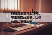 网站流量查询全攻略,哪里查网站流量,让你的网站更受欢迎 网站流量查询全攻略,哪里查网站流量,让你的网站更受欢迎