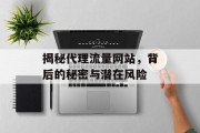 揭秘代理流量网站,背后的秘密与潜在风险 揭秘代理流量网站,背后的秘密与潜在风险