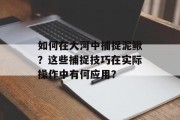 如何在大河中捕捉泥鳅?这些捕捉技巧在实际操作中有何应用? 如何在大河中捕捉泥鳅?这些捕捉技巧在实际操作中有何应用?