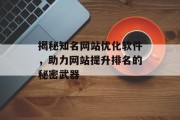 揭秘知名网站优化软件，助力网站提升排名的秘密武器