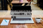 Java插件网站详解,Java插件,入门指南 Java插件网站详解,Java插件,入门指南