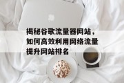 揭秘谷歌流量器网站,如何高效利用网络流量提升网站排名 揭秘谷歌流量器网站,如何高效利用网络流量提升网站排名