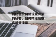 揭秘低价网站流量背后的秘密,如何精准获取高质量流量 揭秘低价网站流量背后的秘密,如何精准获取高质量流量