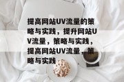 提高网站UV流量的策略与实践,提升网站UV流量,策略与实践,提高网站UV流量,策略与实践 提高网站UV流量的策略与实践,提升网站UV流量,策略与实践,提高网站UV流量,策略与实践