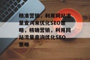 精准营销,利用网站流量查询来优化SEO策略,精确营销,利用网站流量查询优化SEO策略 精准营销,利用网站流量查询来优化SEO策略,精确营销,利用网站流量查询优化SEO策略