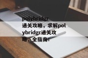 polybridgr通关攻略,求解polybridgr通关攻略,全指南!