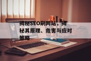 揭秘SEO刷网站,揭秘其原理、危害与应对策略 揭秘SEO刷网站,揭秘其原理、危害与应对策略