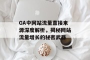 GA中网站流量直接来源深度解析,揭秘网站流量增长的秘密武器 GA中网站流量直接来源深度解析,揭秘网站流量增长的秘密武器
